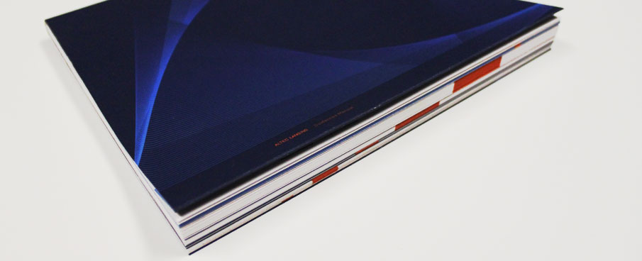 Guidelines manual